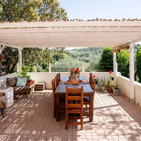 Bed & Breakfast Oliveto *