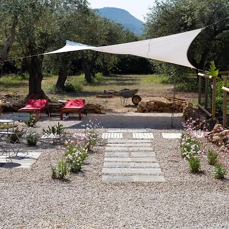 Oliveto אלגהרו