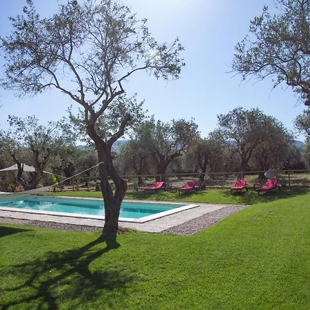 Oliveto Αλγκέρο