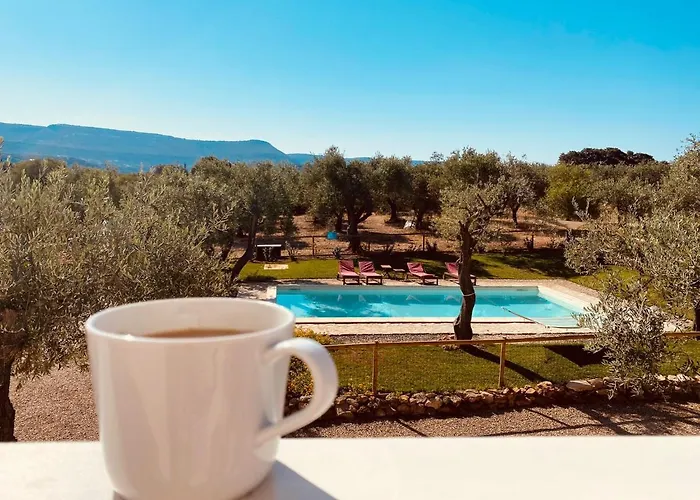 住宿加早餐酒店 Oliveto 3*